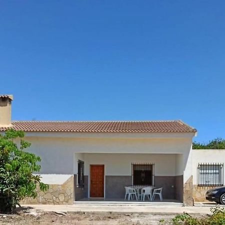 Villa Rustica Privada Con Gran Chalet Y Piscina Elche Ngoại thất bức ảnh