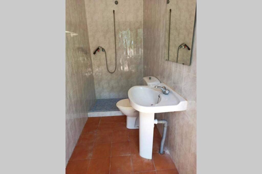 Villa Rustica Privada Con Gran Chalet Y Piscina Elche Ngoại thất bức ảnh